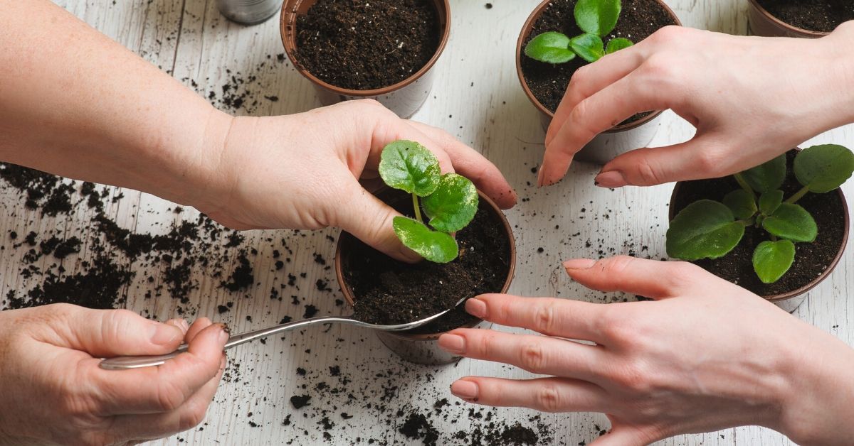 Sustainable Ideas for Businesses