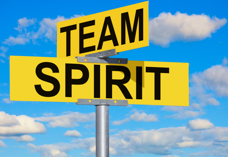 Images for Newsletter (A2 (Landscape)) (11)